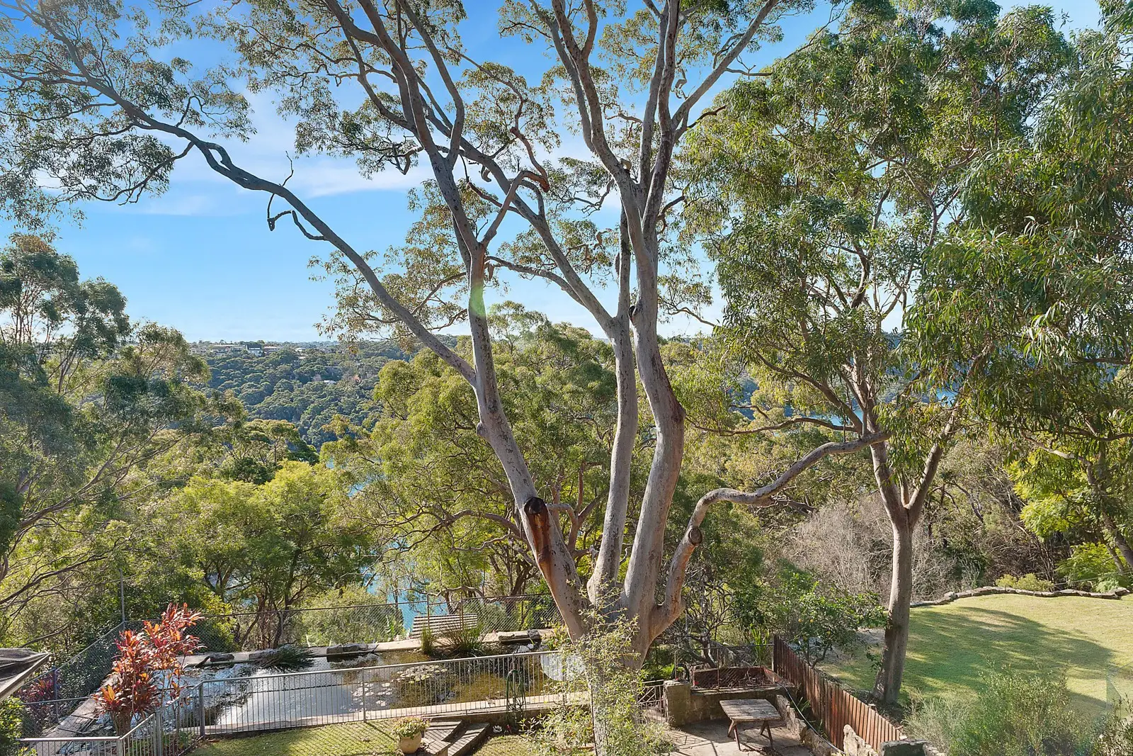 219 Edinburgh Road, Castlecrag Sold by Sydney Sotheby's International Realty - image 3