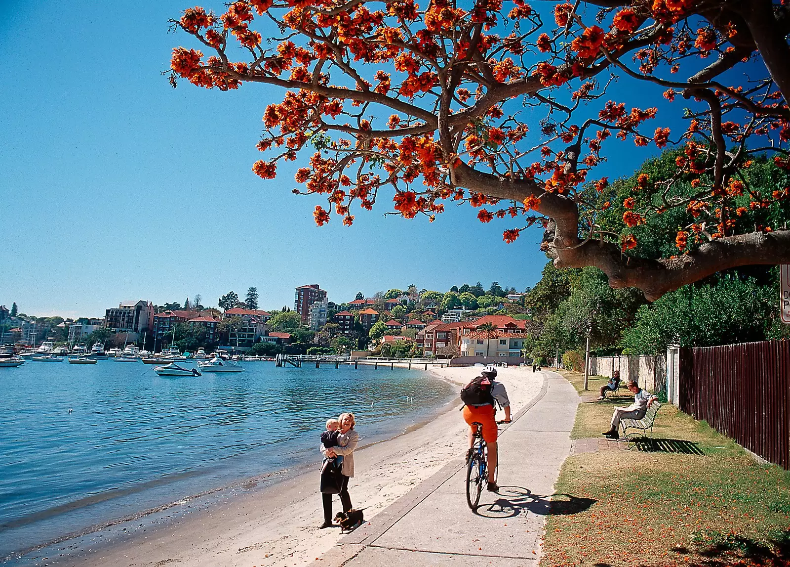 Double Bay Sold by Sydney Sotheby's International Realty - image 16