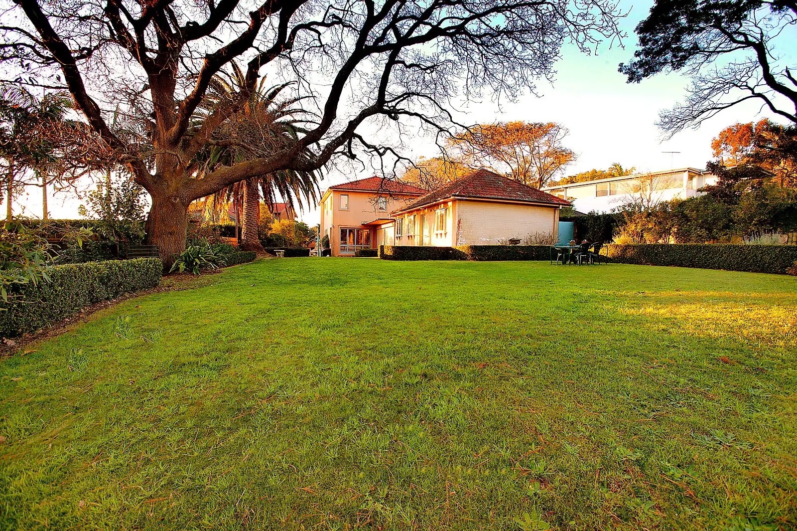 5 Arthur Street, Bellevue Hill Sold by Sydney Sotheby's International Realty - image 1