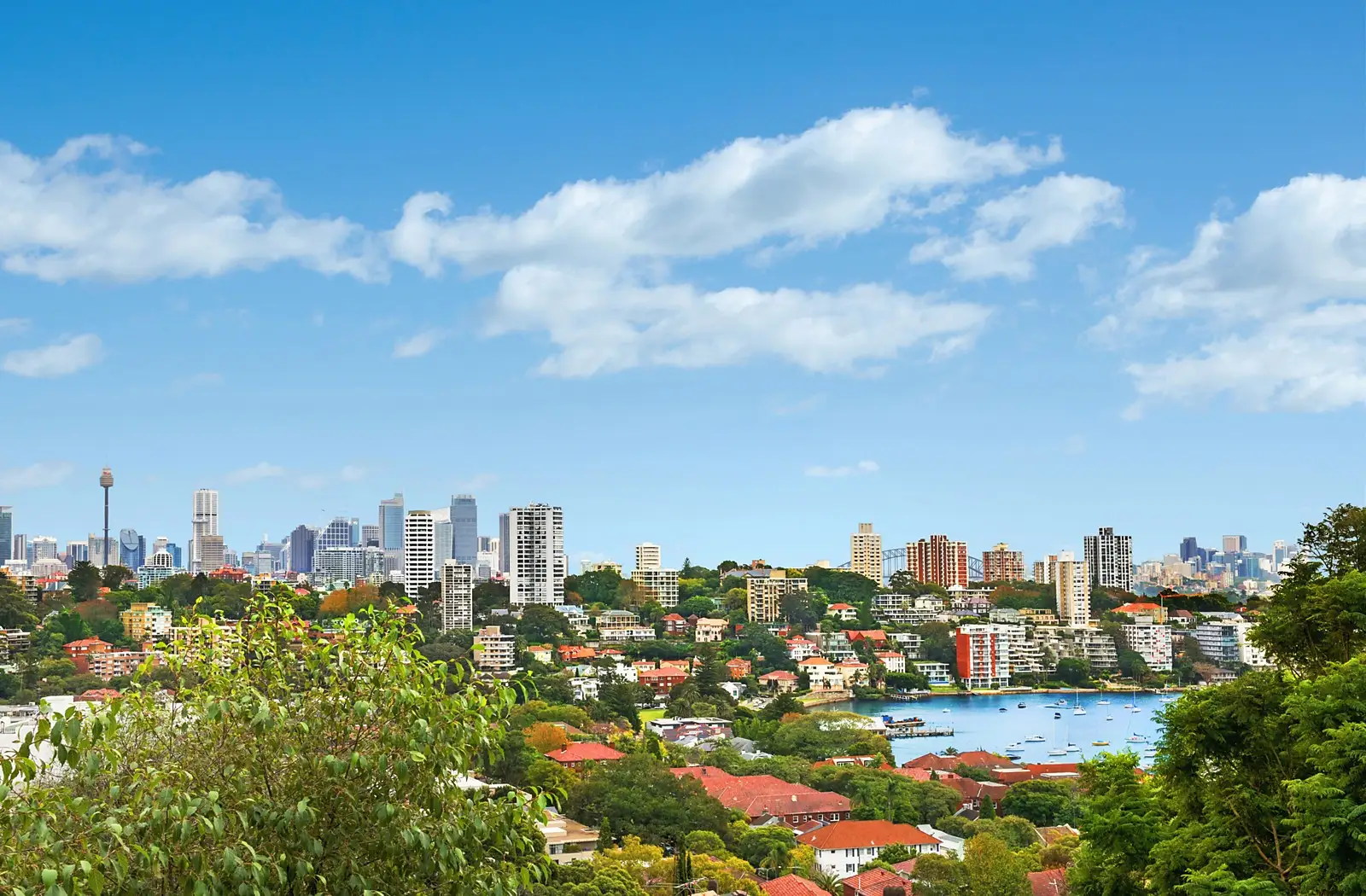 77 Bulkara Road, Bellevue Hill Sold by Sydney Sotheby's International Realty - image 3