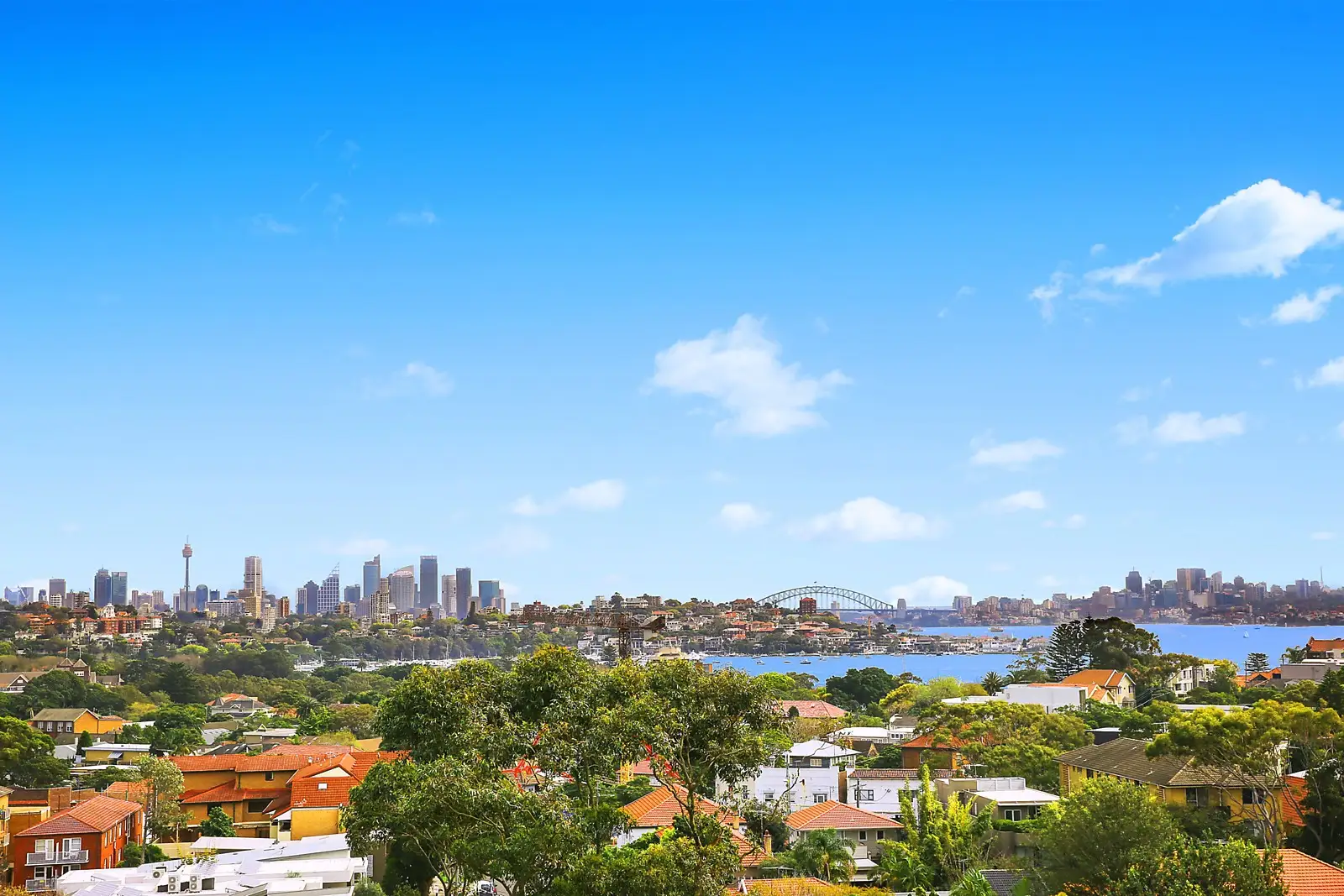 24 Strickland Street, Rose Bay Sold by Sydney Sotheby's International Realty - image 2