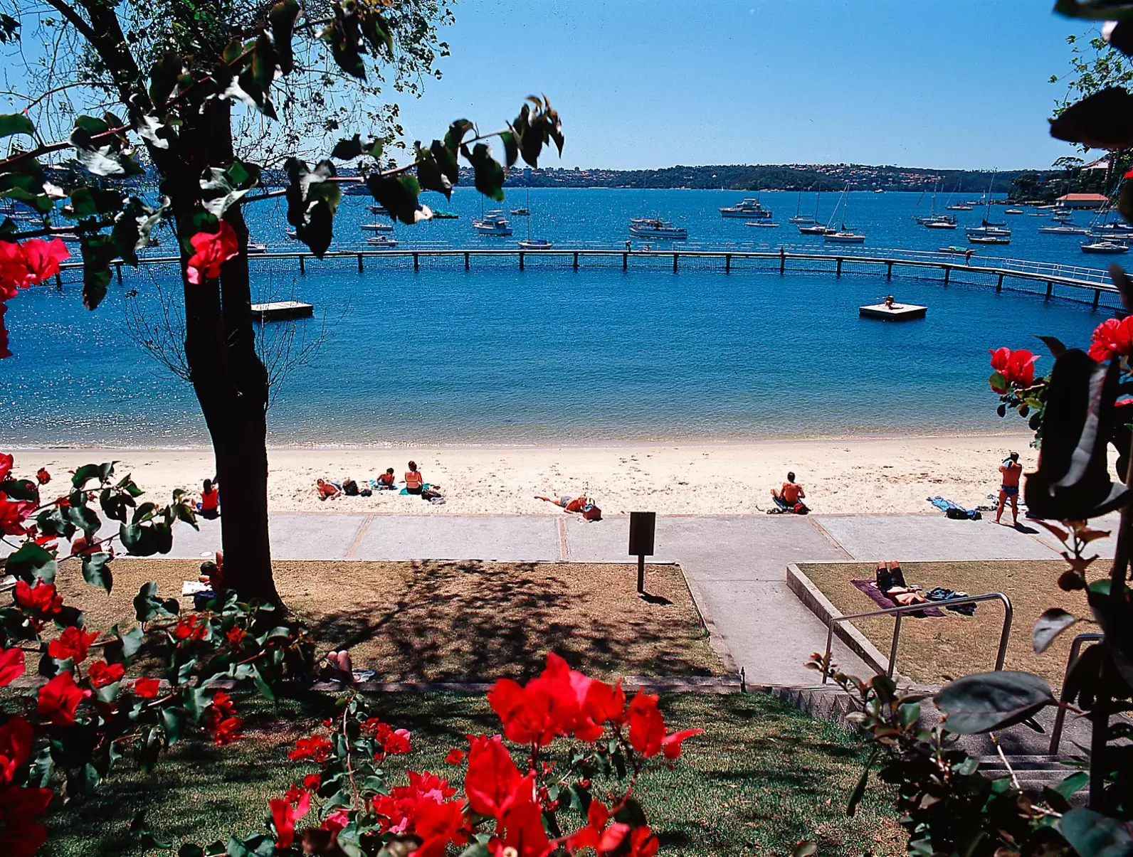 Point Piper Sold by Sydney Sotheby's International Realty - image 25