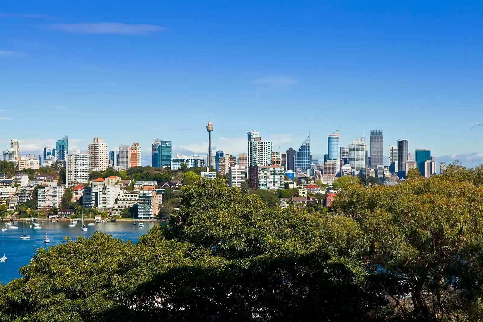 Point Piper Sold by Sydney Sotheby's International Realty - image 11