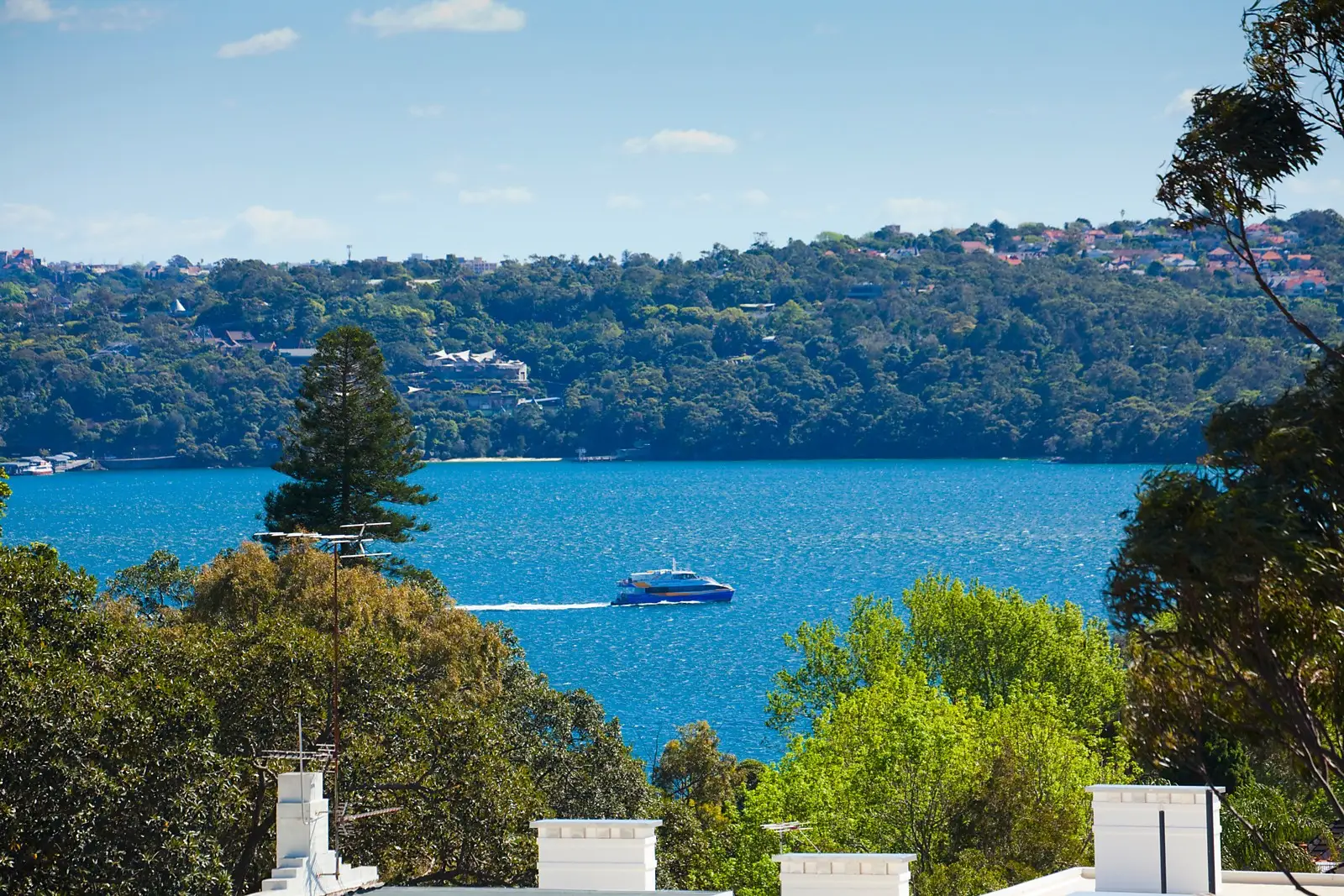 Darling Point Sold by Sydney Sotheby's International Realty - image 3