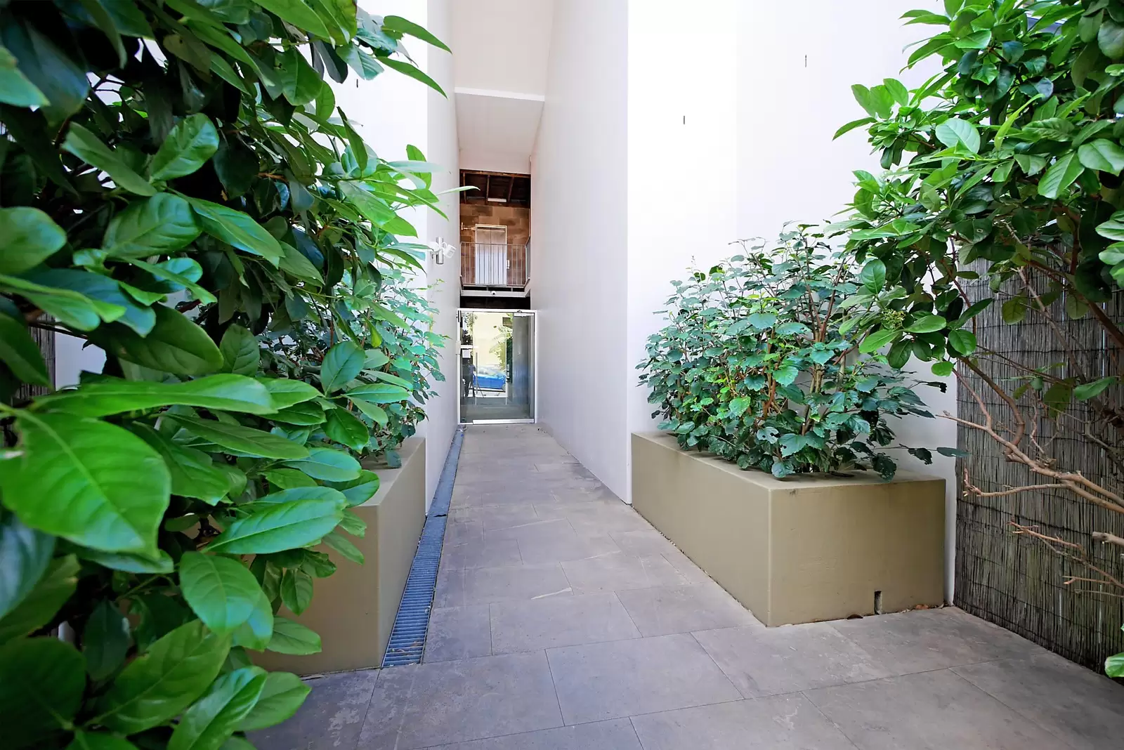 5/270-272 Bondi Road, Bondi Sold by Sydney Sotheby's International Realty - image 13