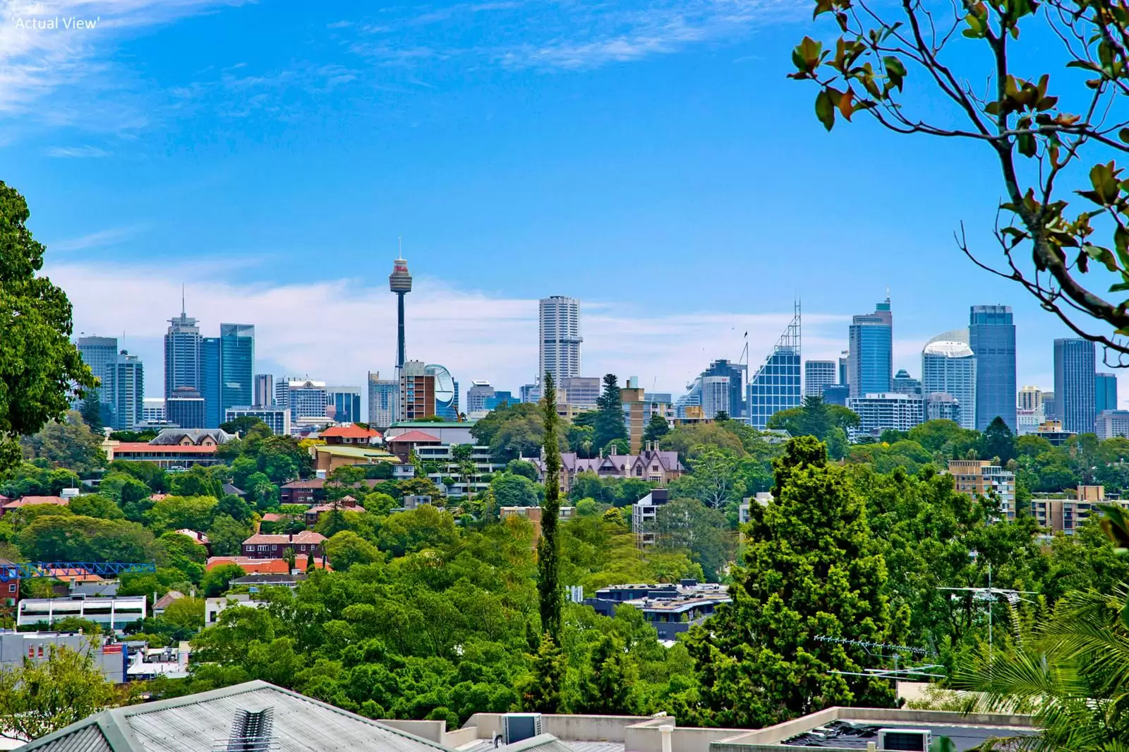 10 Kulgoa Road, Bellevue Hill Sold by Sydney Sotheby's International Realty - image 6