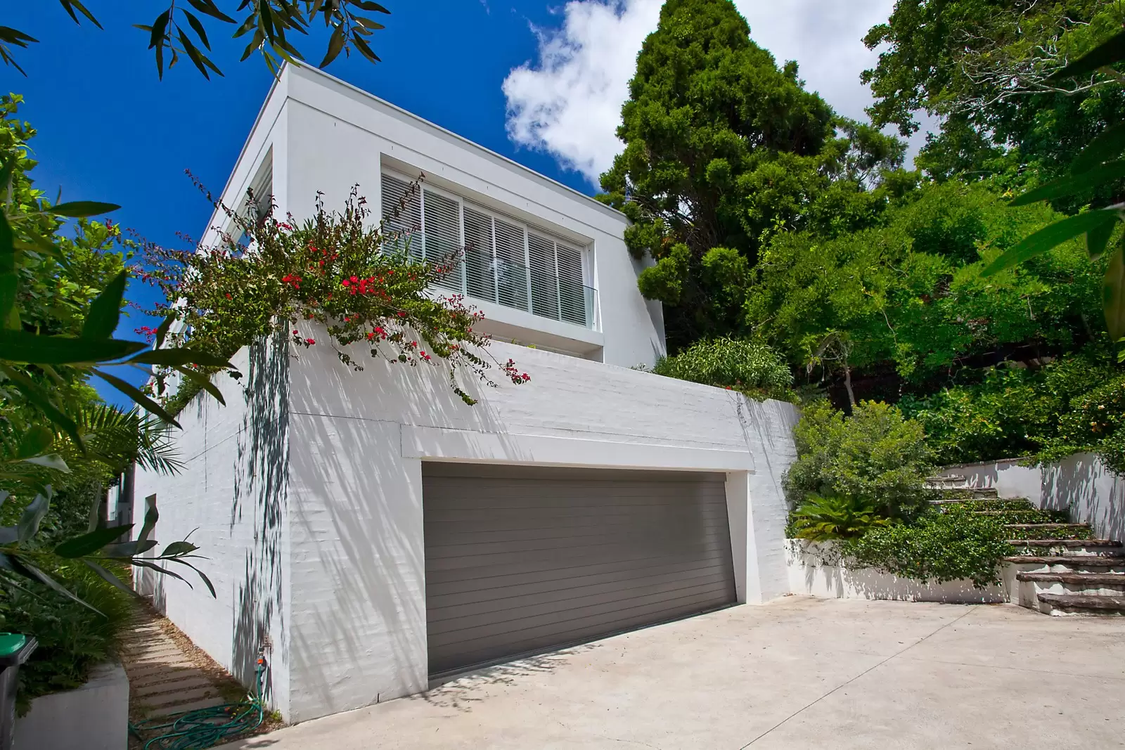 51 Wallaroy Road, Woollahra Sold by Sydney Sotheby's International Realty - image 8