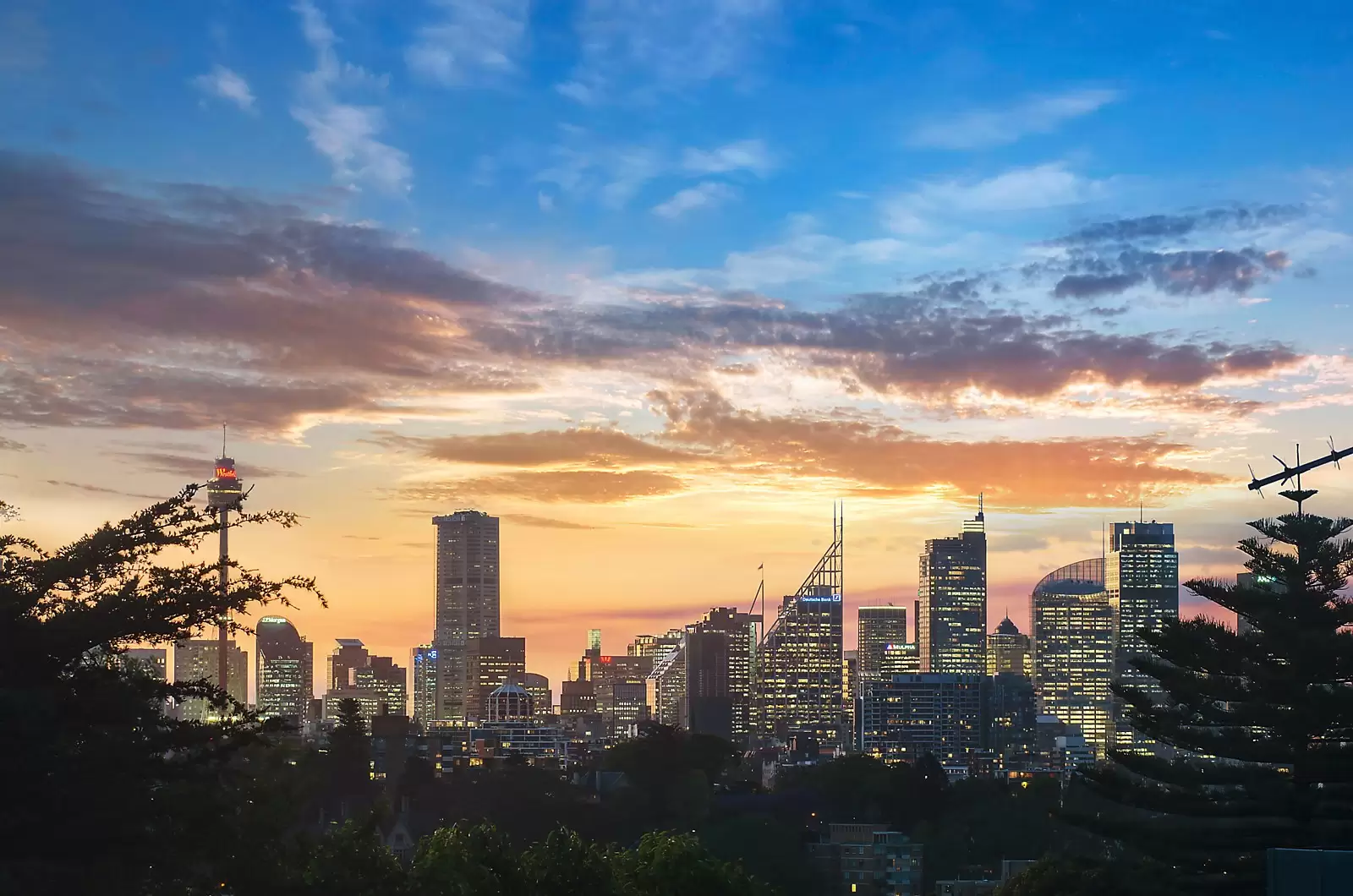 18 Bulkara Road, Bellevue Hill Sold by Sydney Sotheby's International Realty - image 16