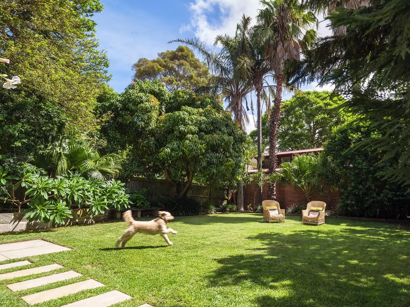 18 Kensington Road, Kensington Sold by Sydney Sotheby's International Realty - image 9