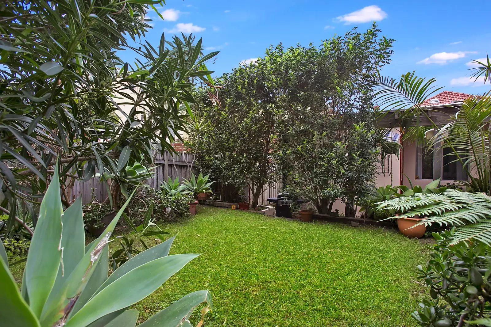 36 Arcadia Street, Coogee Sold by Sydney Sotheby's International Realty - image 9