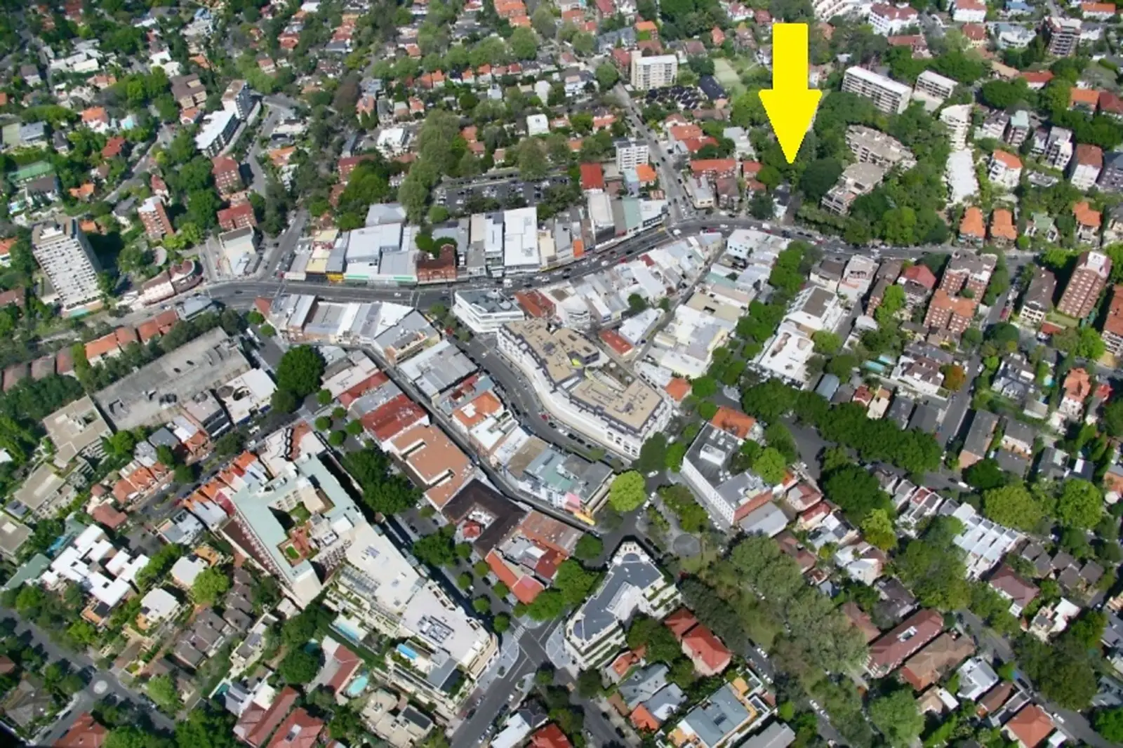 353 New South Head Road, Double Bay Sold by Sydney Sotheby's International Realty - image 1