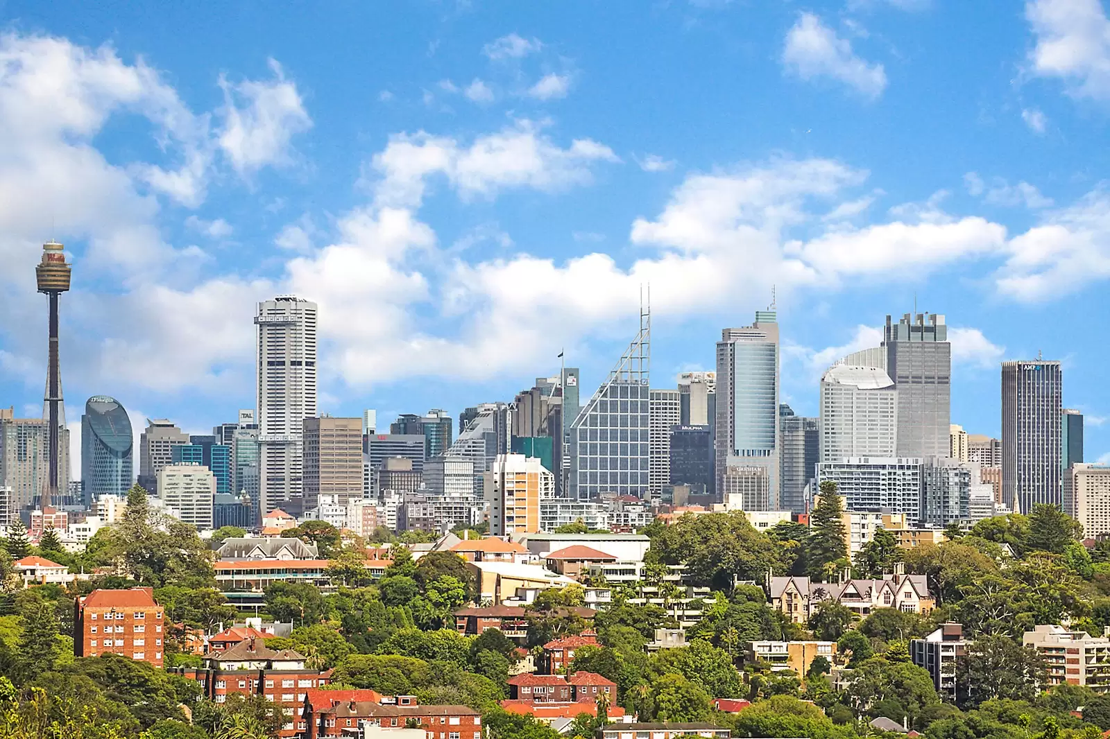 105 Bellevue Road, Bellevue Hill Sold by Sydney Sotheby's International Realty - image 4