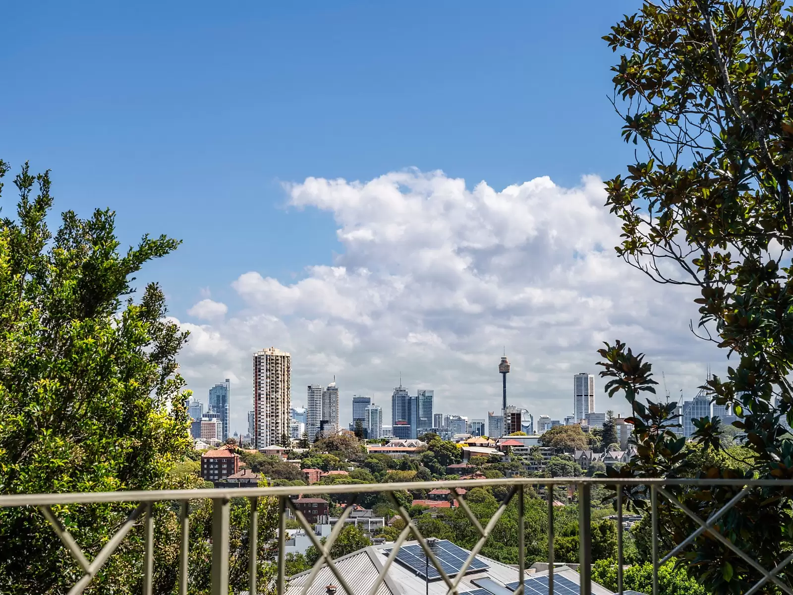 10 Kulgoa Road, Bellevue Hill Sold by Sydney Sotheby's International Realty - image 7