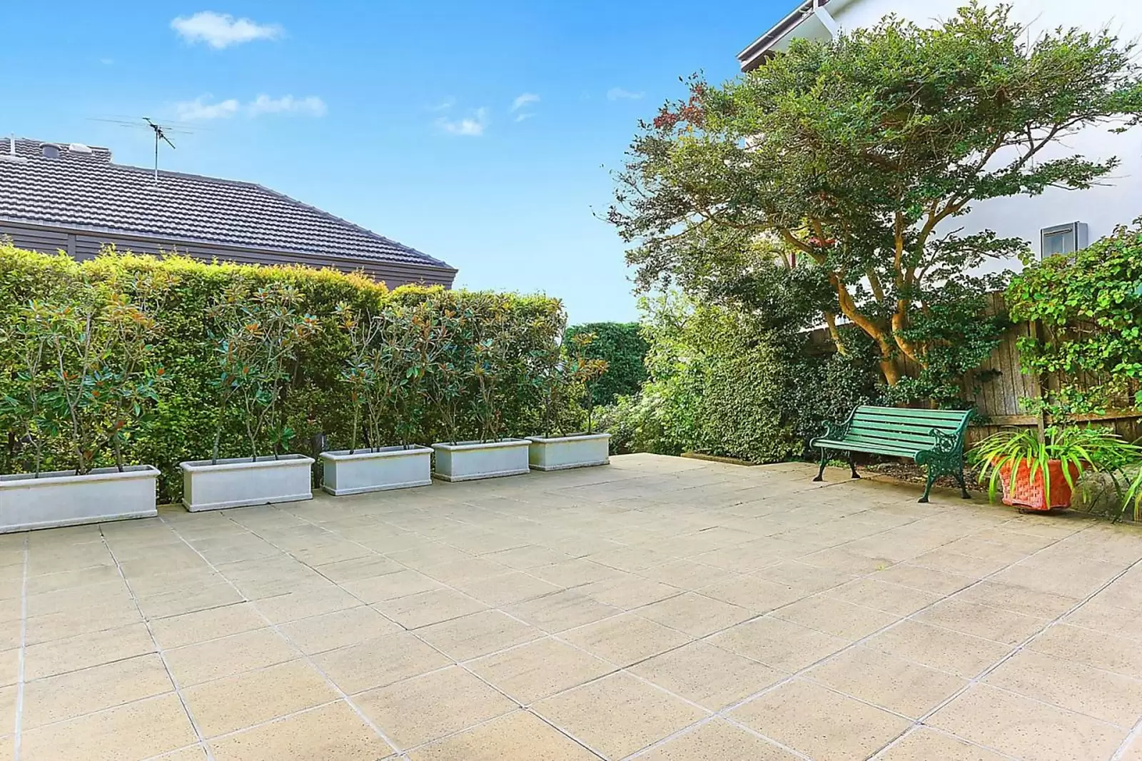 24 Strickland Street, Rose Bay Leased by Sydney Sotheby's International Realty - image 9
