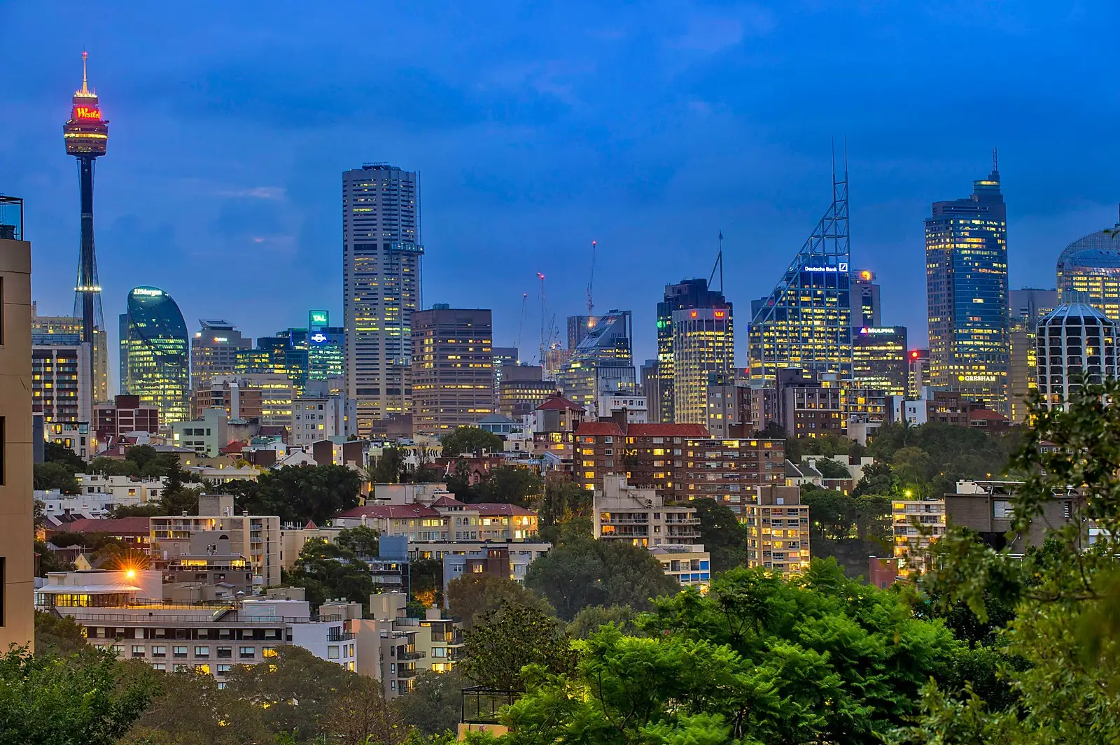 Darling Point Sold by Sydney Sotheby's International Realty - image 3