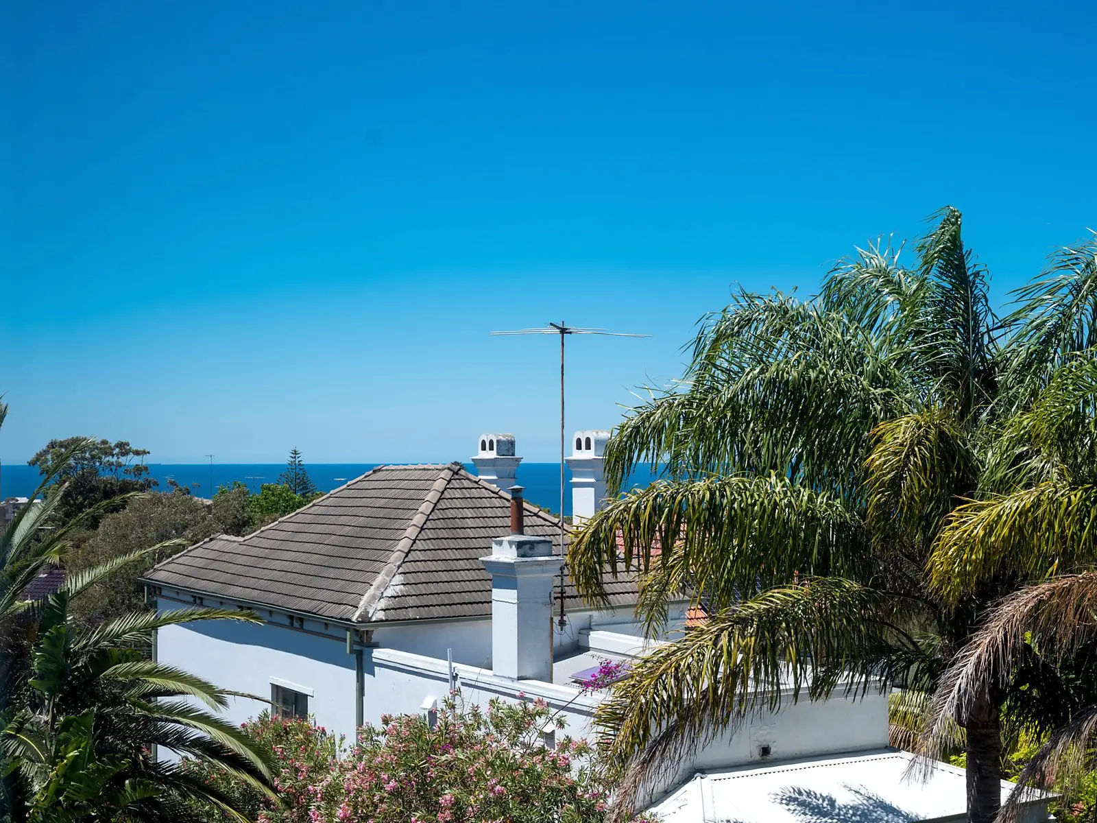 9/7 Leichhardt Street, Bronte Sold by Sydney Sotheby's International Realty - image 2