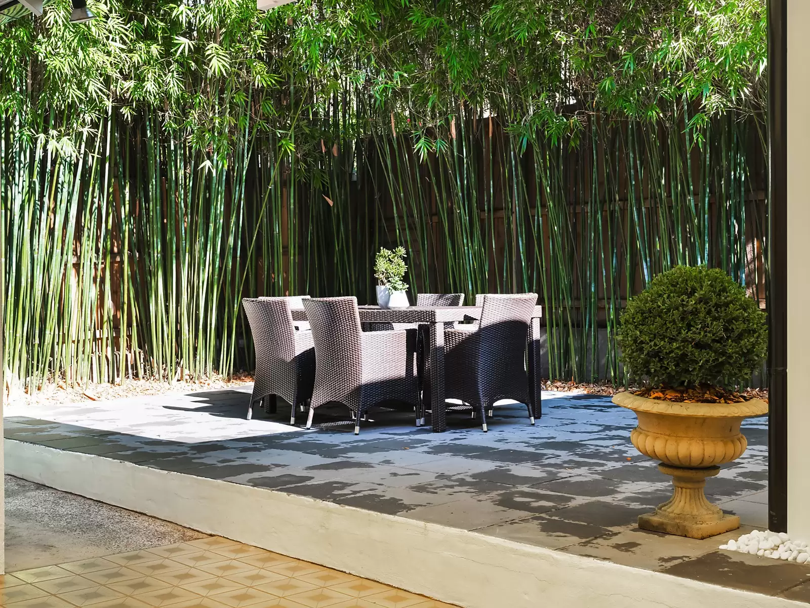 38 Judge Street, Randwick Sold by Sydney Sotheby's International Realty - image 13