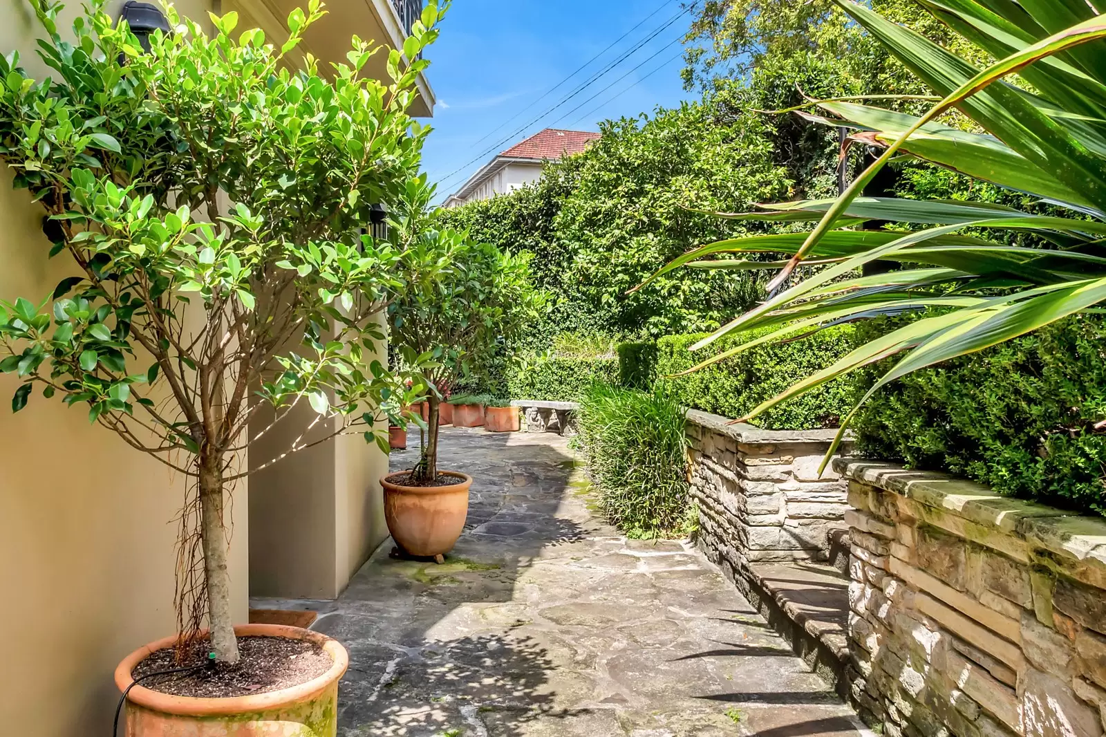 4 Roslyndale Avenue, Woollahra Sold by Sydney Sotheby's International Realty - image 20