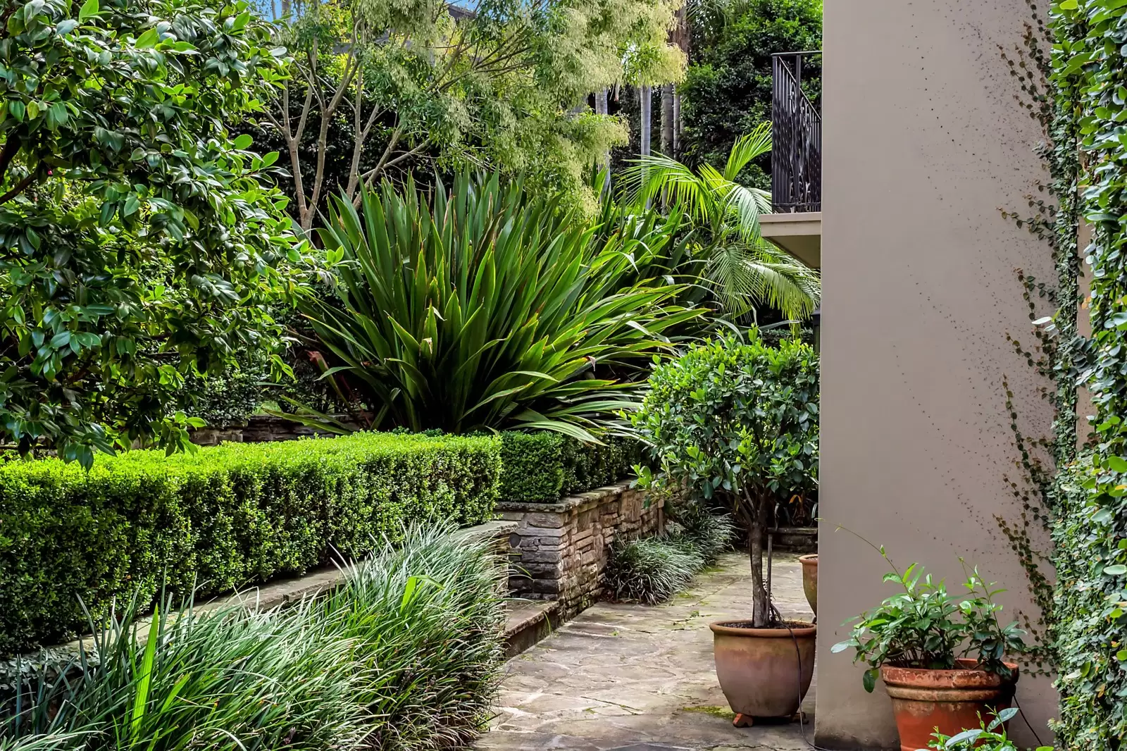 4 Roslyndale Avenue, Woollahra Sold by Sydney Sotheby's International Realty - image 21