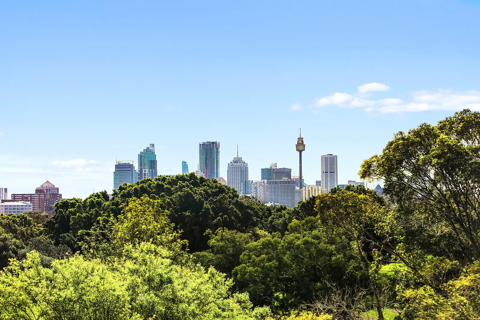 7/16 Salisbury Road, Kensington Sold by Sydney Sotheby's International Realty - image 1