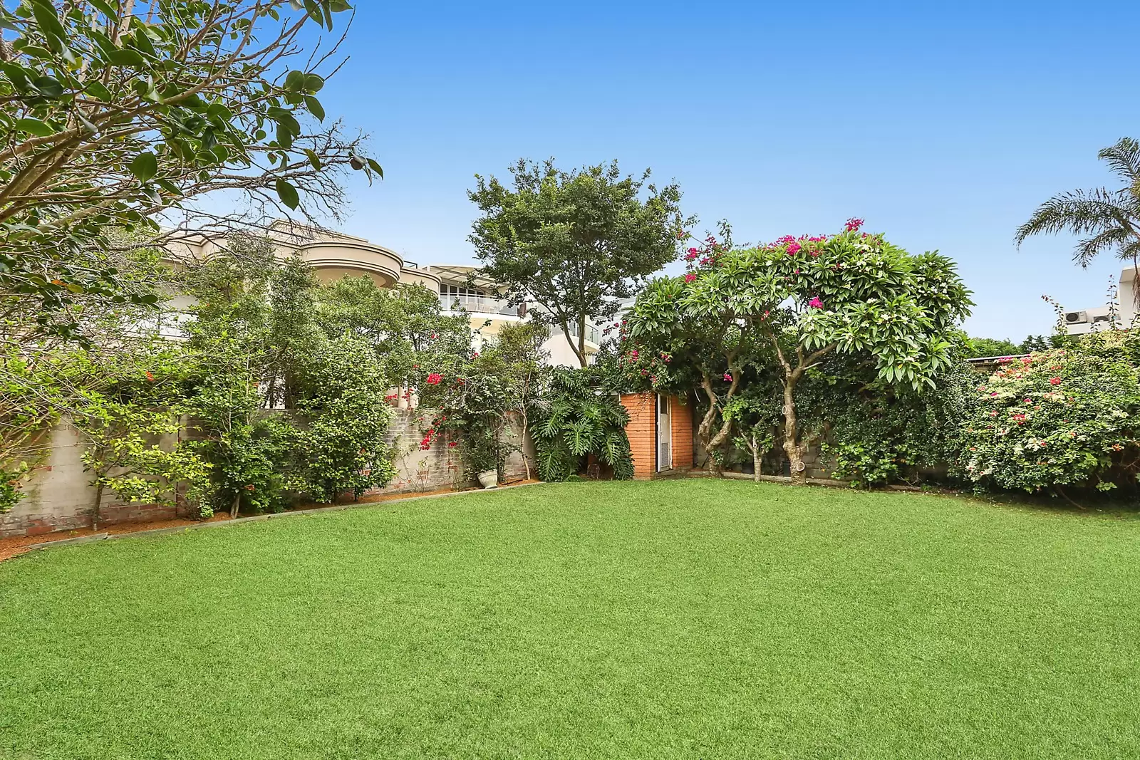 141 Military Road, Dover Heights Sold by Sydney Sotheby's International Realty - image 8