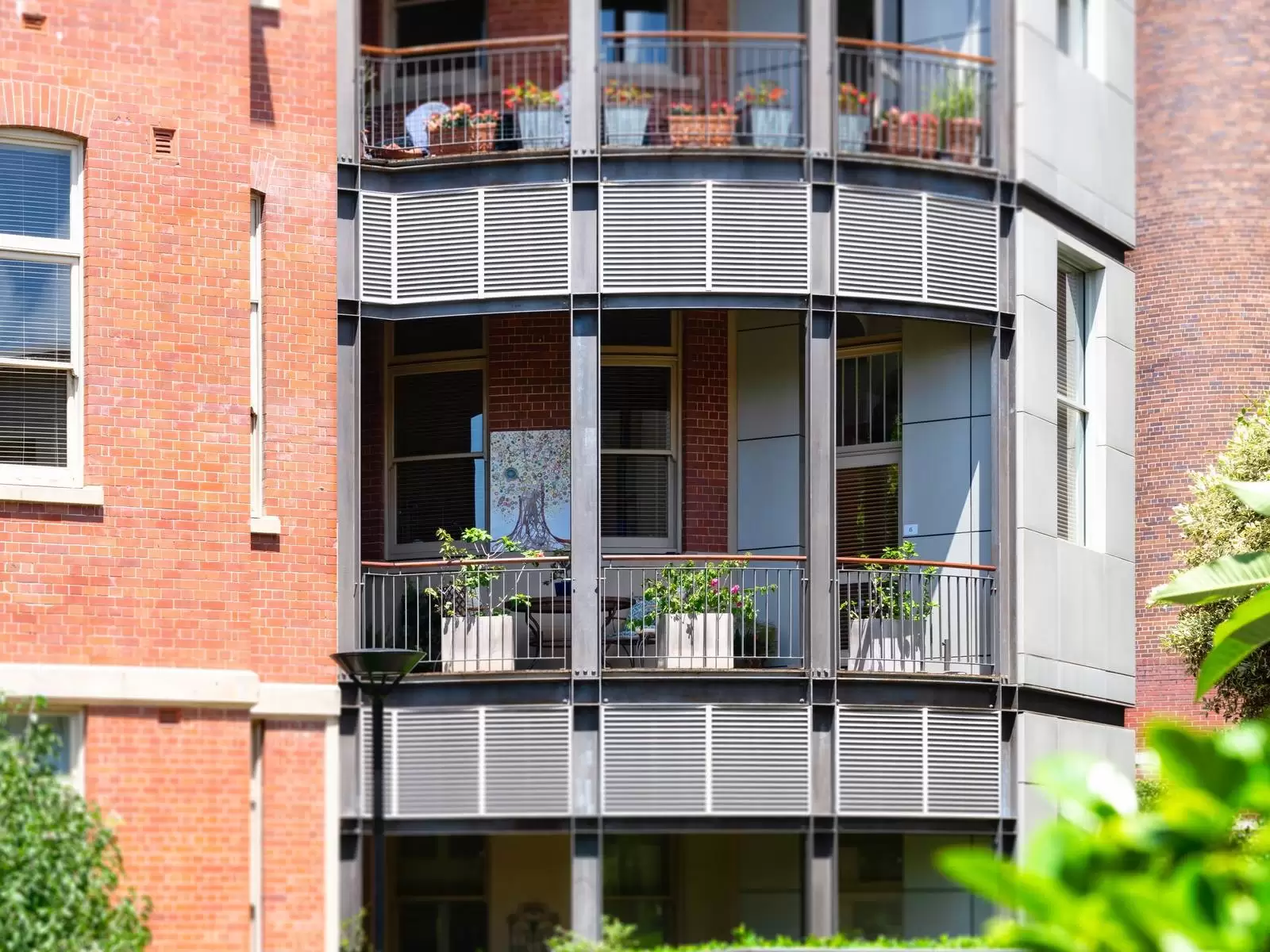 6/18 Flinton Street, Paddington Sold by Sydney Sotheby's International Realty - image 12