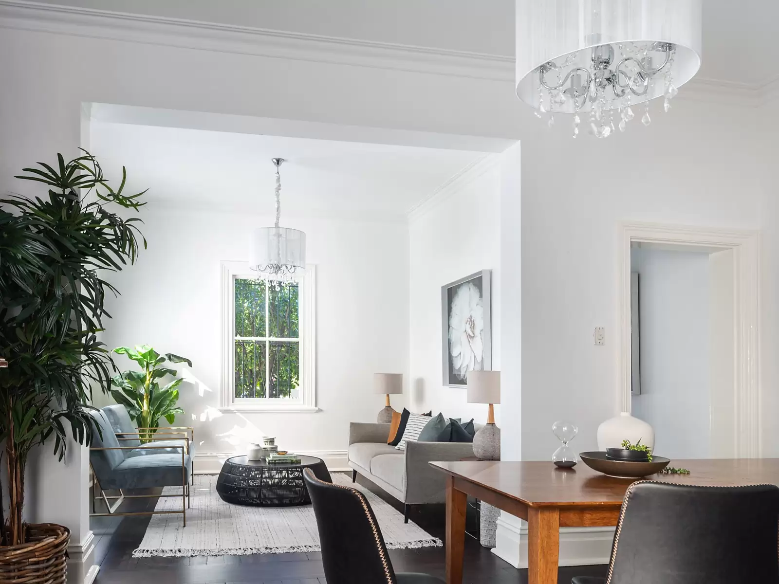 106 Cascade Street, Paddington Sold by Sydney Sotheby's International Realty - image 3