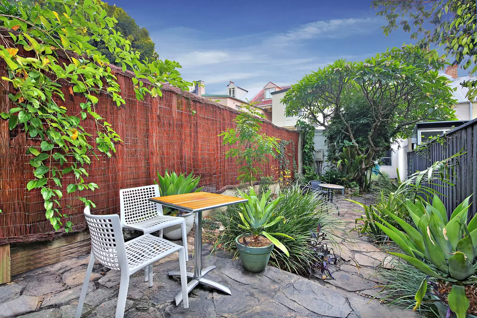 23 Campbell Avenue, Paddington Sold by Sydney Sotheby's International Realty - image 10