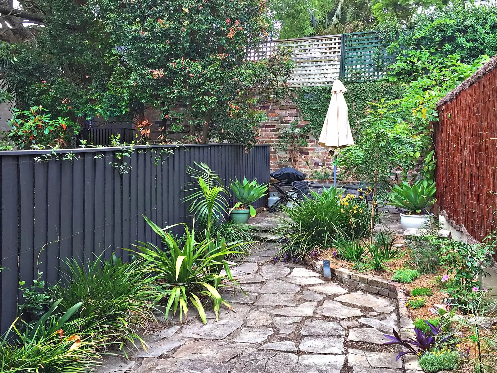 23 Campbell Avenue, Paddington Sold by Sydney Sotheby's International Realty - image 9