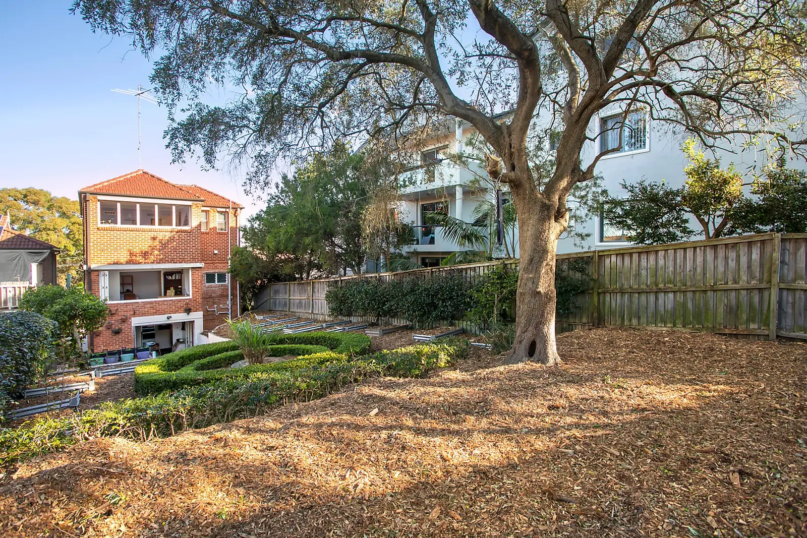 69A St Pauls Street, Randwick Sold by Sydney Sotheby's International Realty - image 1