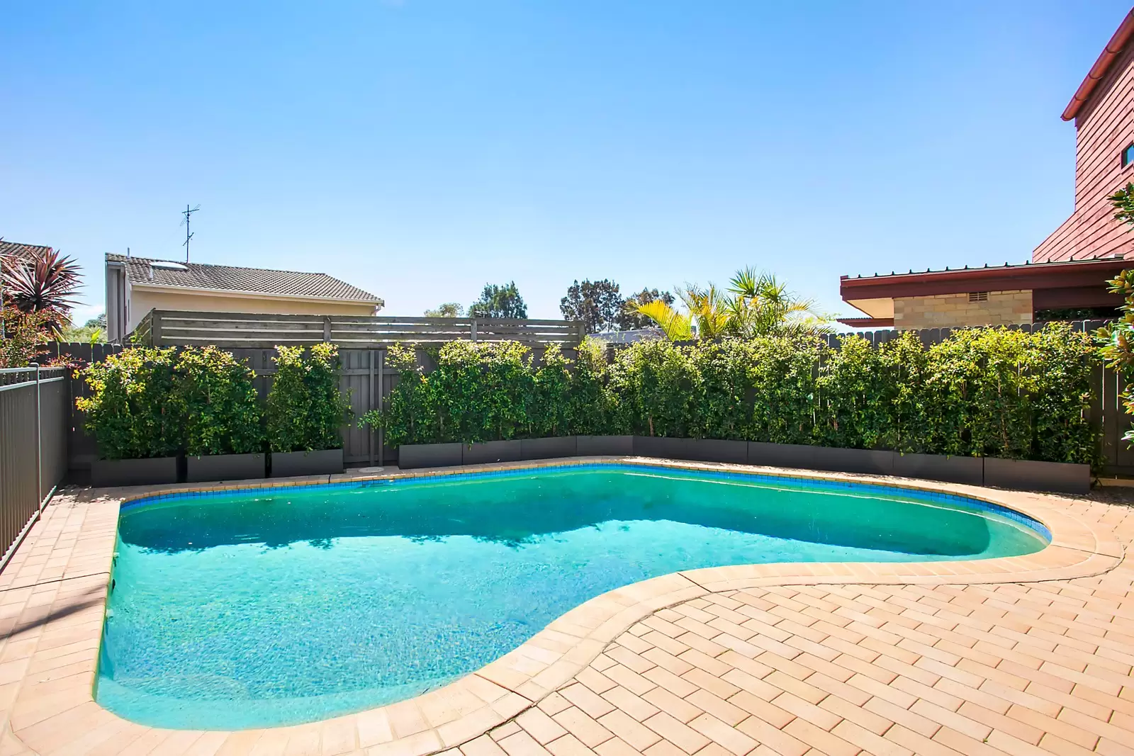 29 Fern Street, Clovelly Sold by Sydney Sotheby's International Realty - image 5