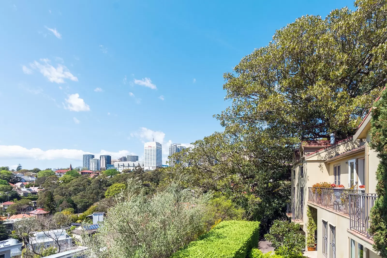 31 Chester Street, Woollahra Sold by Sydney Sotheby's International Realty - image 17