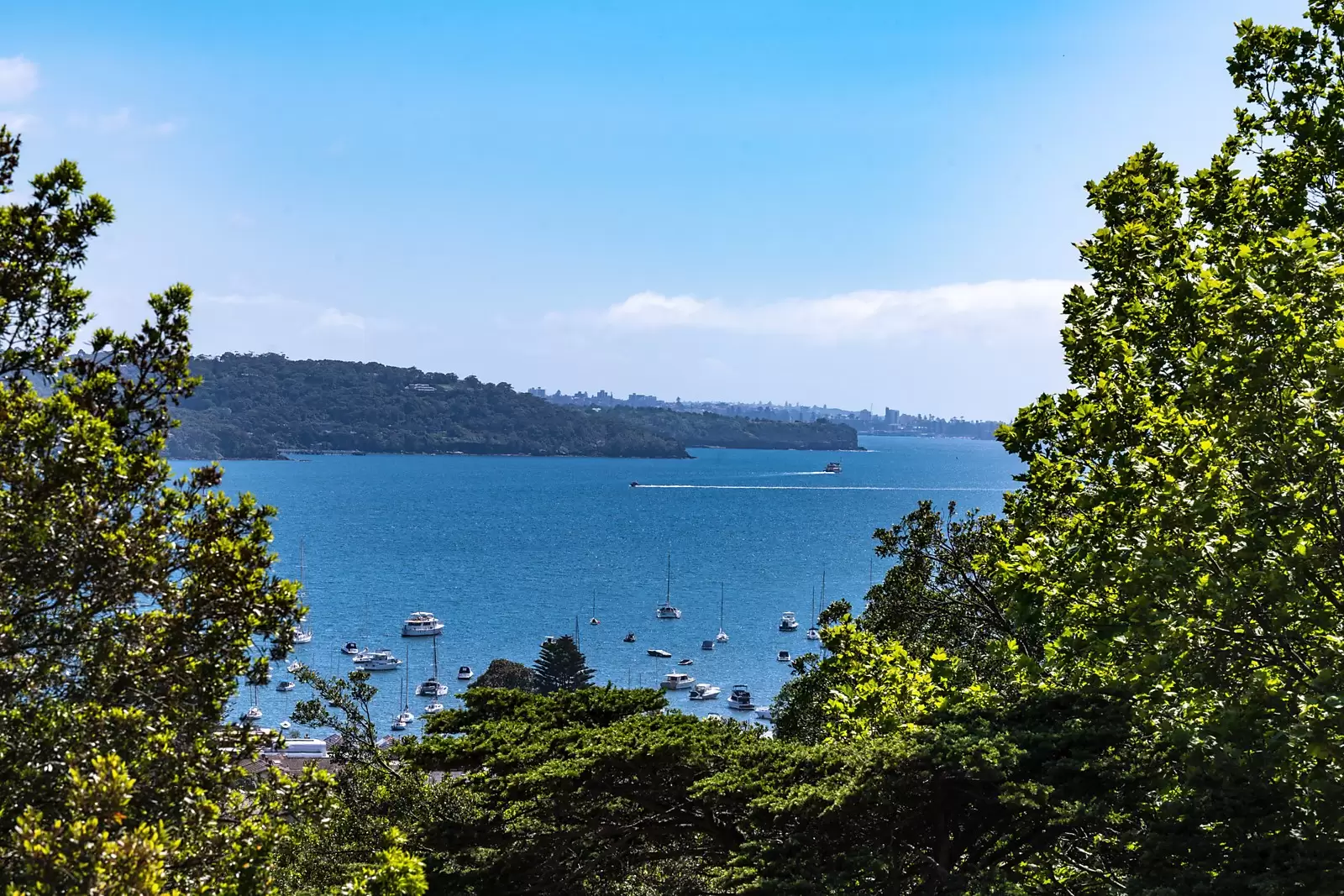 24 Albert Street, Edgecliff Sold by Sydney Sotheby's International Realty - image 10