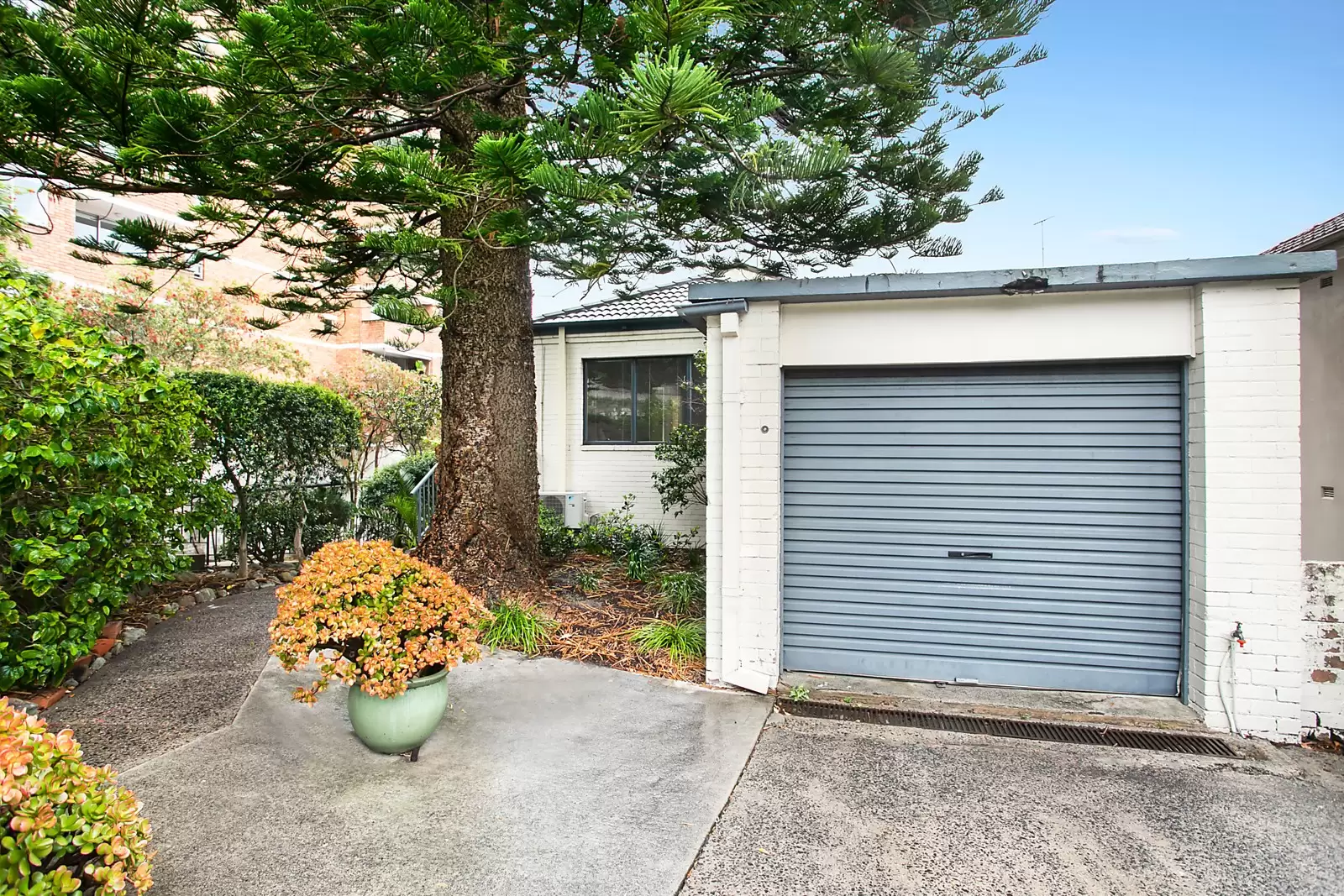 11/45 Murray Street, Bronte Sold by Sydney Sotheby's International Realty - image 3