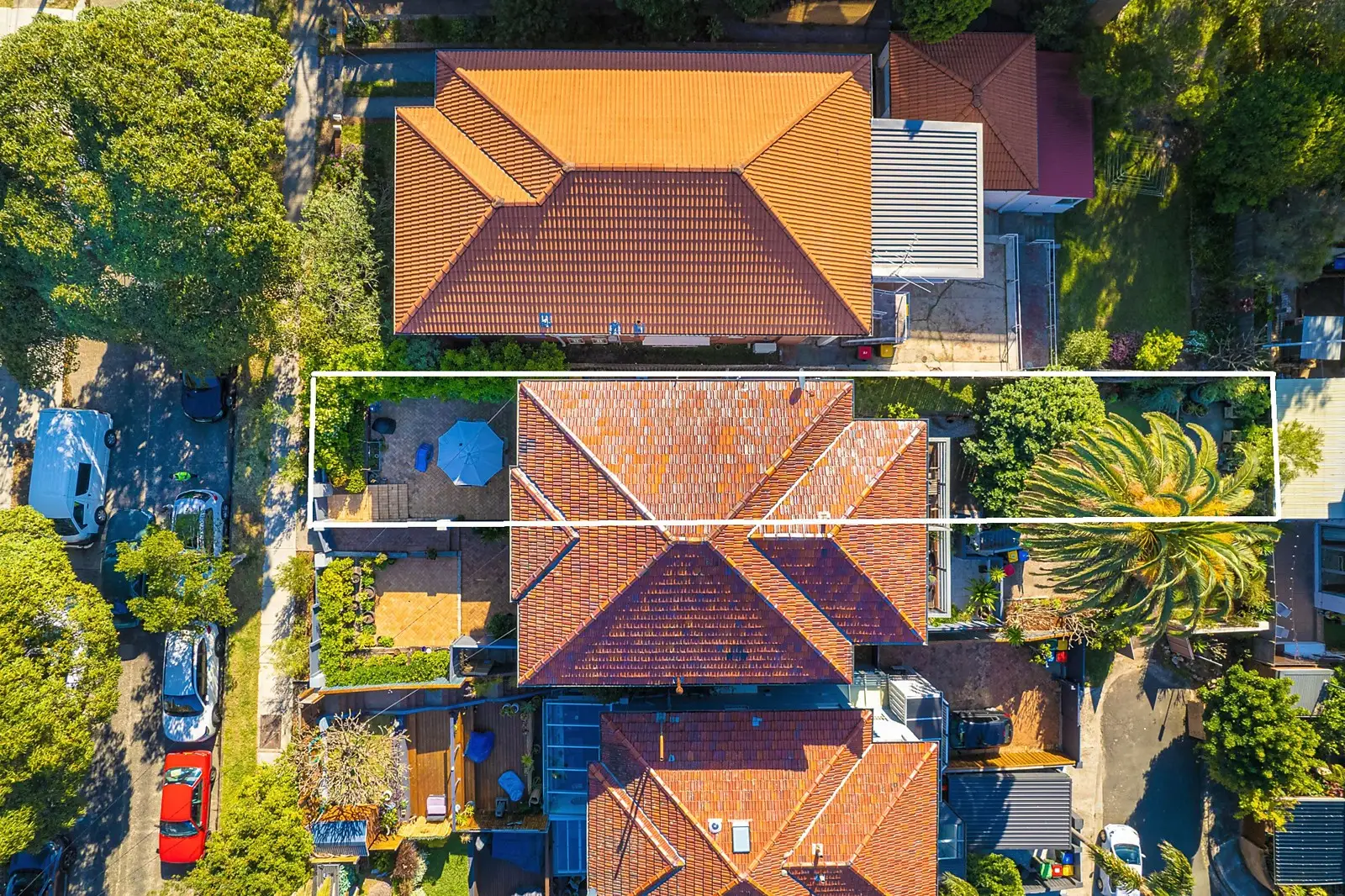 1/86 Chaleyer Street, Rose Bay Sold by Sydney Sotheby's International Realty - image 2