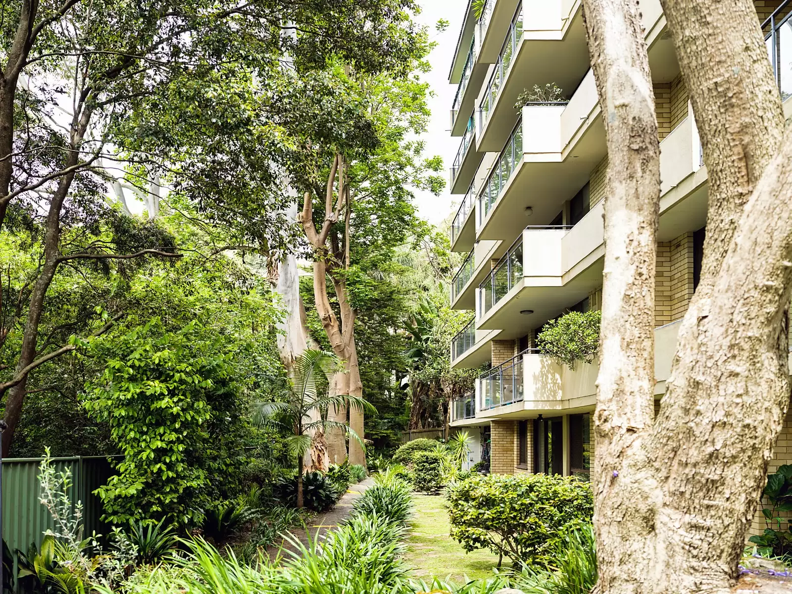 3/297-297A Edgecliff Road, Woollahra Sold by Sydney Sotheby's International Realty - image 7
