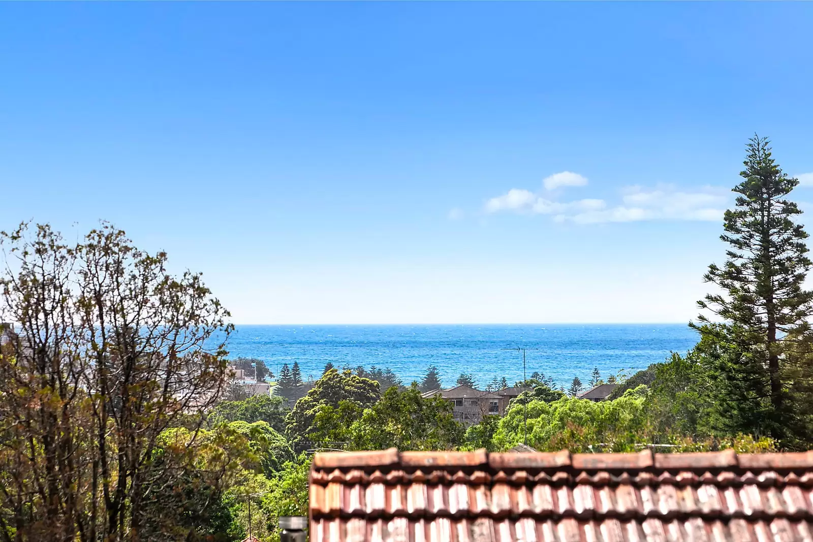 8 Dolphin Street, Randwick Sold by Sydney Sotheby's International Realty - image 5