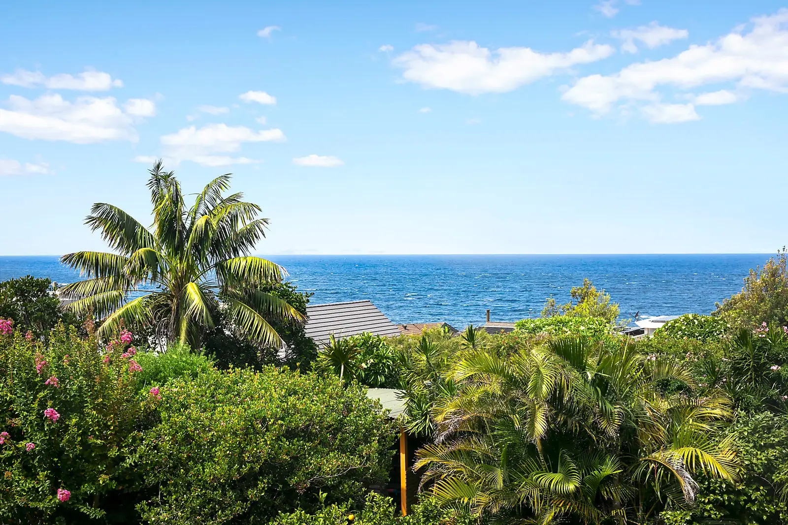 32 Cuzco Street, South Coogee Sold by Sydney Sotheby's International Realty - image 2