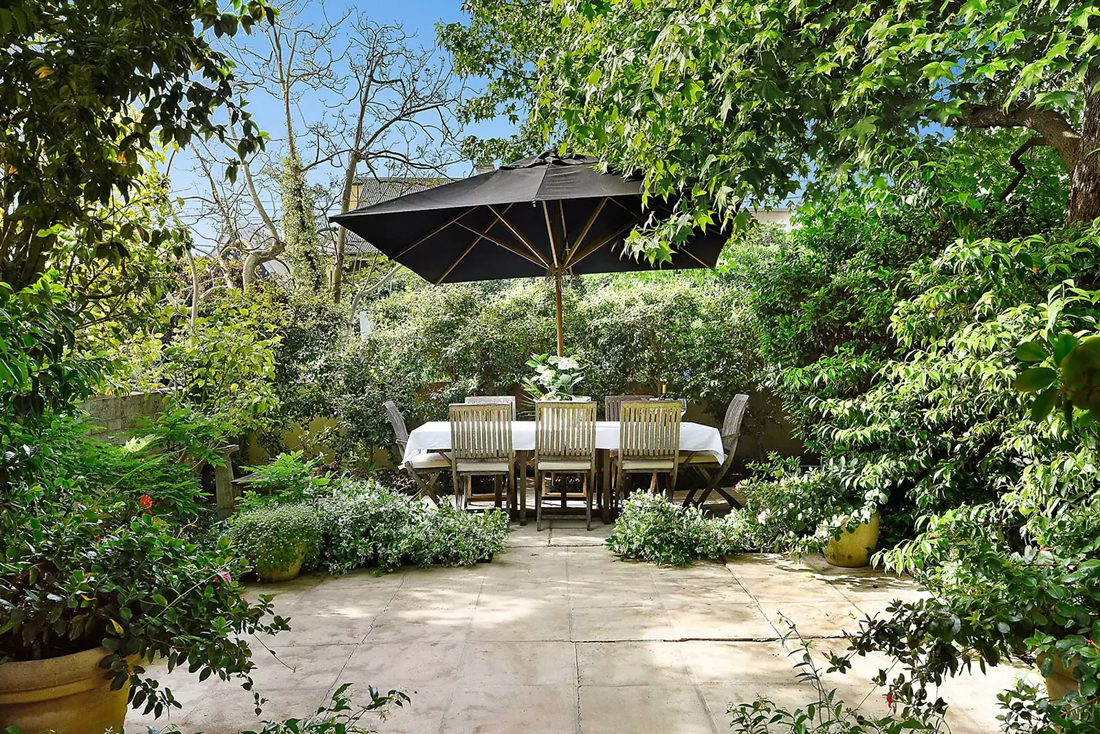 51 John Street, Woollahra Sold by Sydney Sotheby's International Realty - image 4