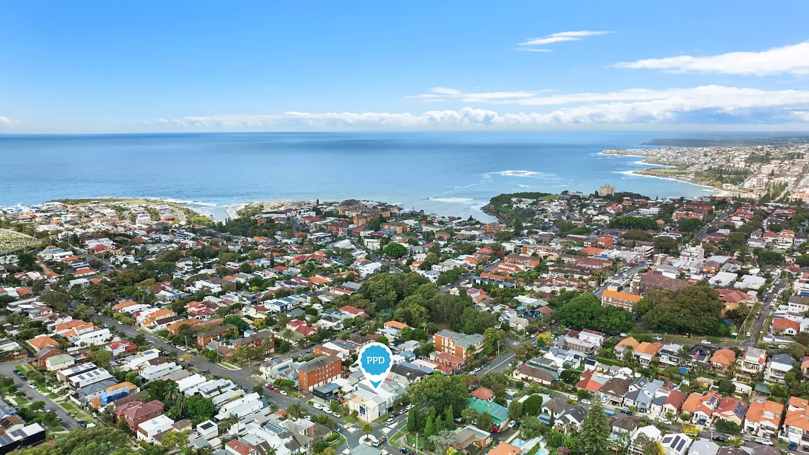 19 Arden Street, Clovelly Sold by Sydney Sotheby's International Realty - image 7