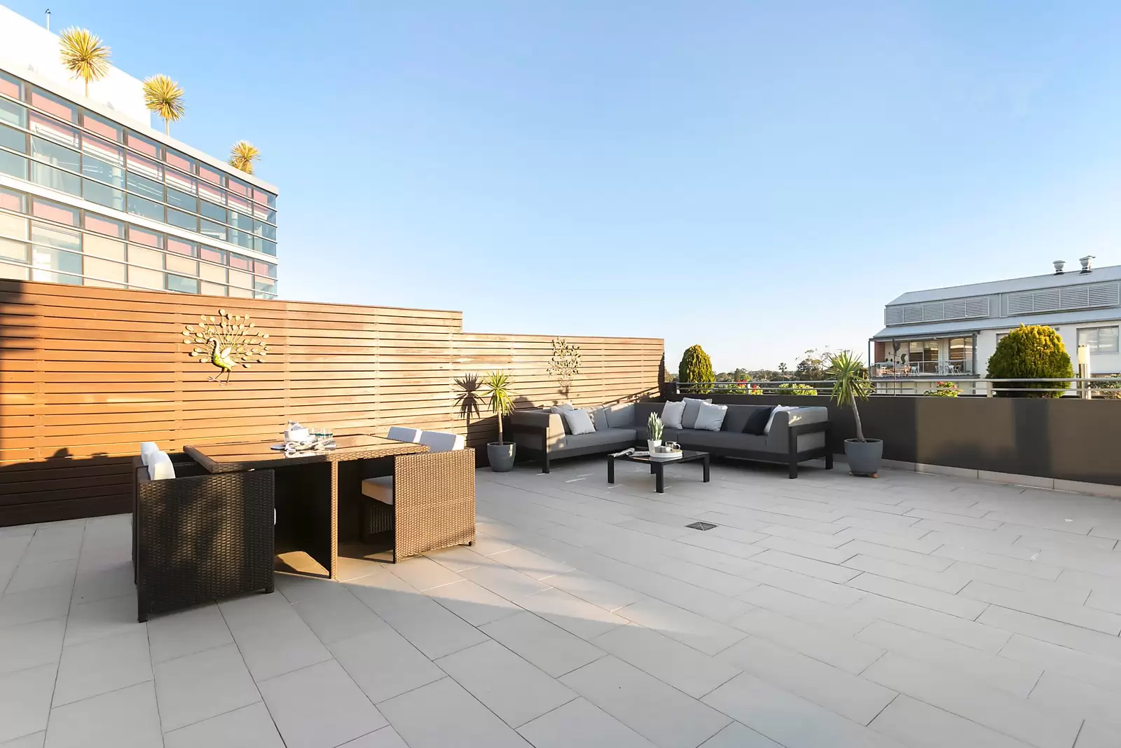 601D/250 Anzac Parade, Kensington Sold by Sydney Sotheby's International Realty - image 8