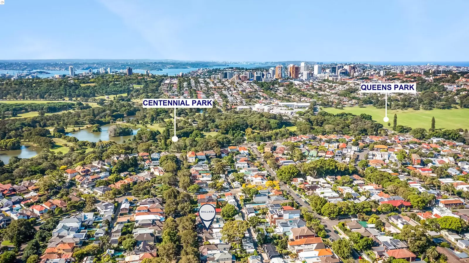 41 Dangar Street, Randwick Sold by Sydney Sotheby's International Realty - image 11