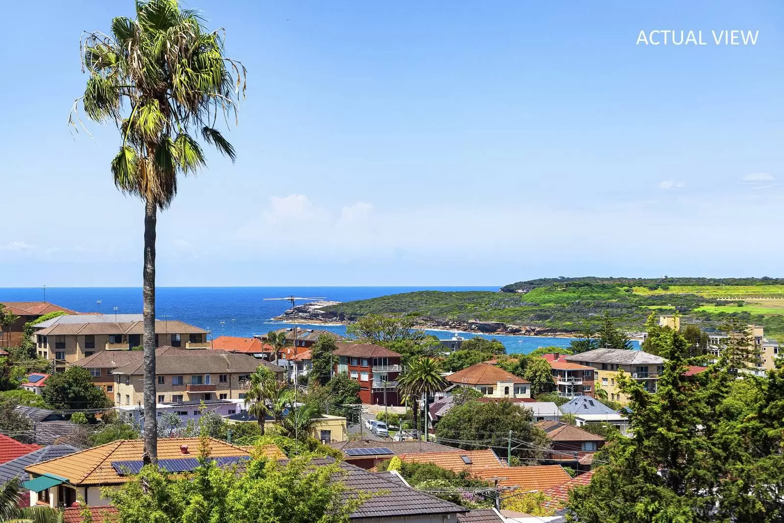 379 Malabar Road, Maroubra Sold by Sydney Sotheby's International Realty - image 6