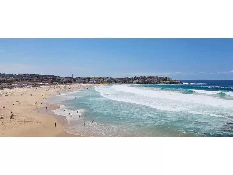 1/8 Sandridge Street, Bondi Beach Leased by Sydney Sotheby's International Realty - image 8