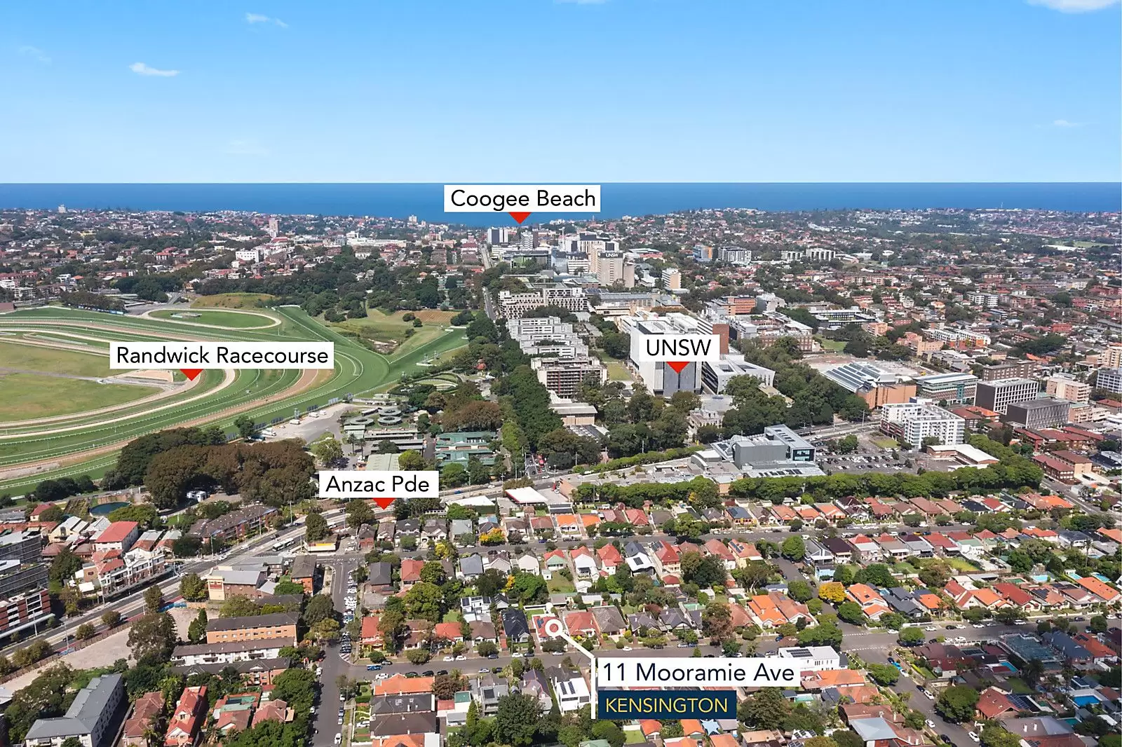 11 Mooramie Avenue, Kensington Sold by Sydney Sotheby's International Realty - image 15