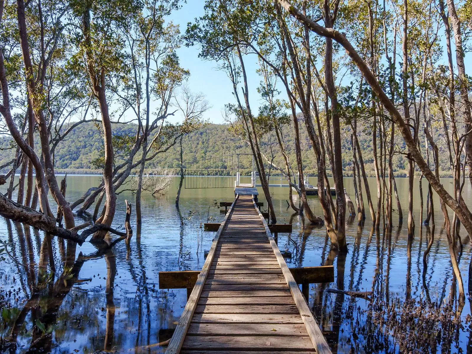 2 Gentlemans Halt Via Berowra Waters, Canoelands For Sale by Sydney Sotheby's International Realty - image 20