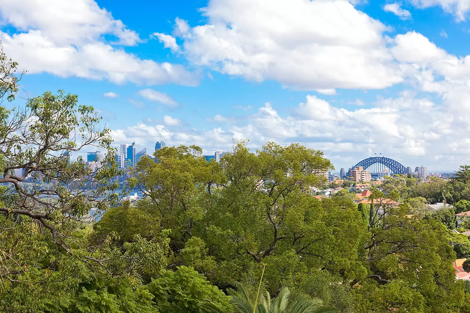 4/70 Prince Albert Street, Mosman Sold by Sydney Sotheby's International Realty - image 5