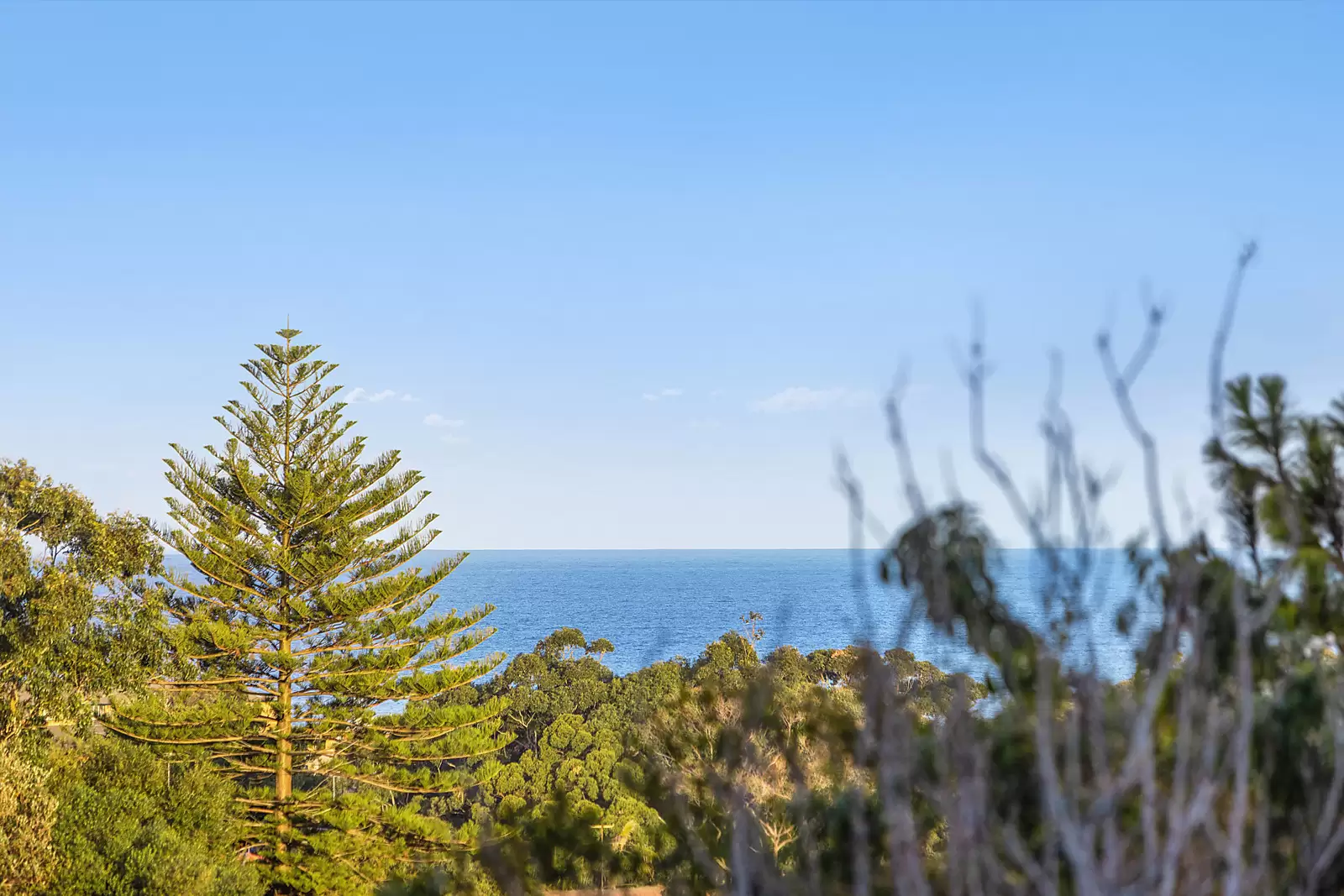 3/129a Carrington Road, Coogee Sold by Sydney Sotheby's International Realty - image 3