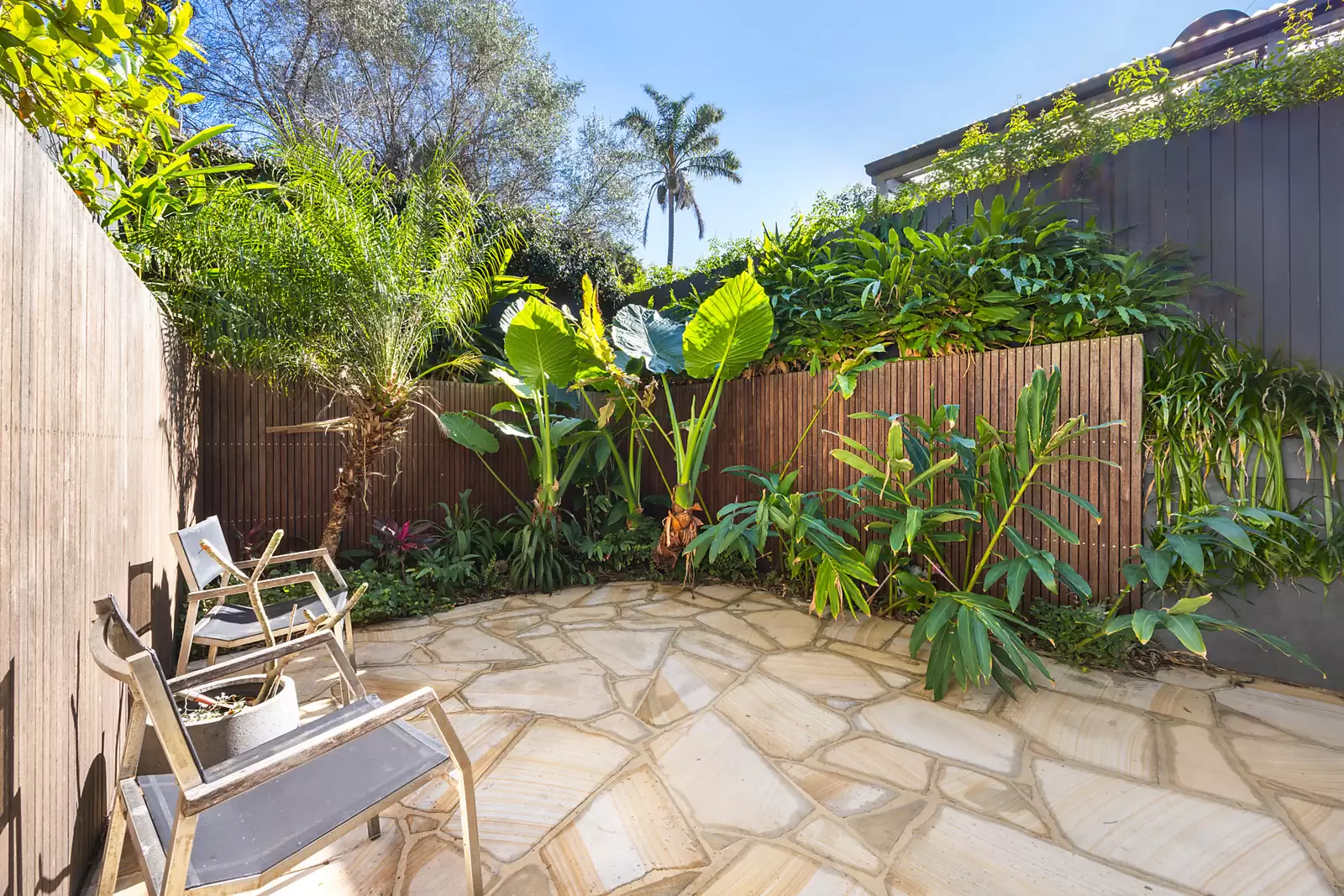 48 Clifton Road, Clovelly Sold by Sydney Sotheby's International Realty - image 4