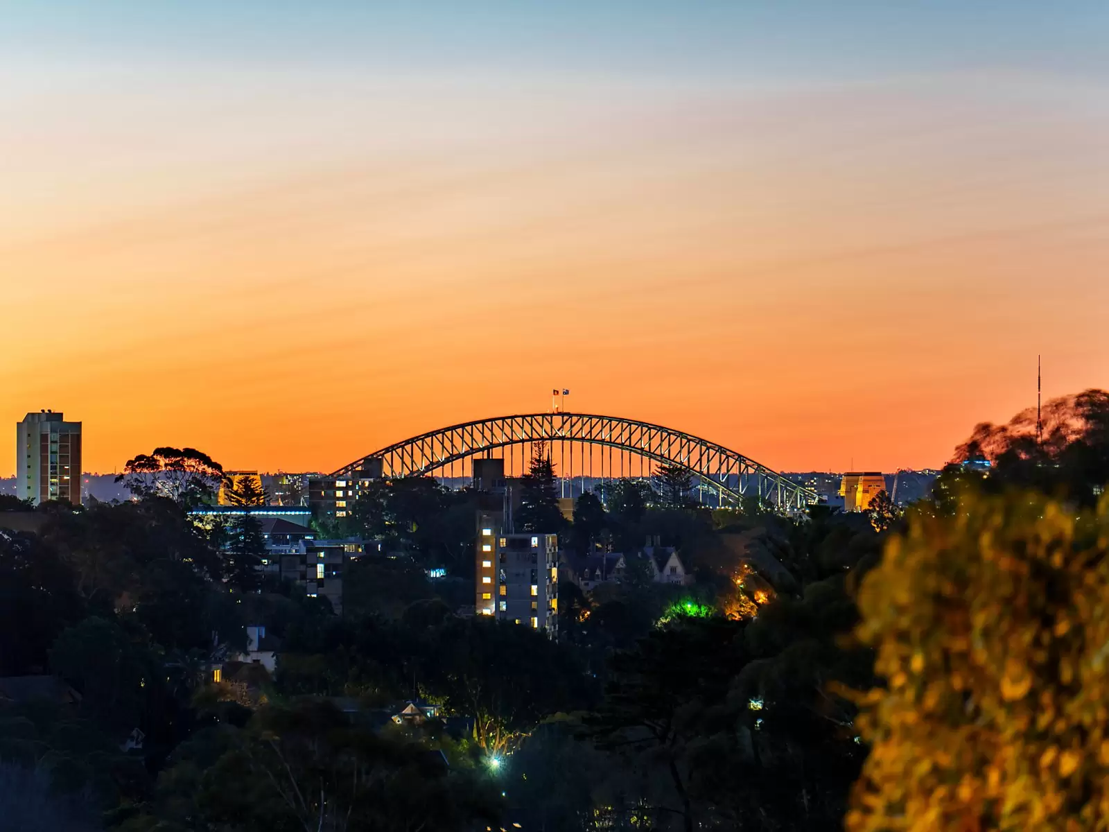 85 Adelaide Parade, Woollahra Sold by Sydney Sotheby's International Realty - image 1